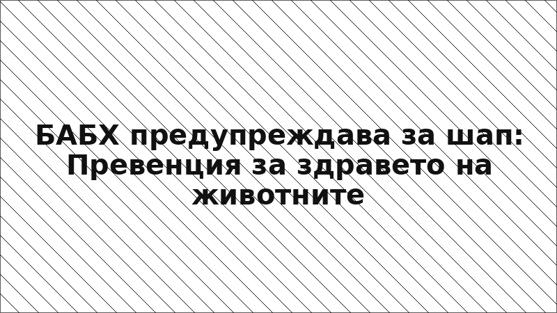 БАБХ предупреждава за шап: Превенция за здравето на животните