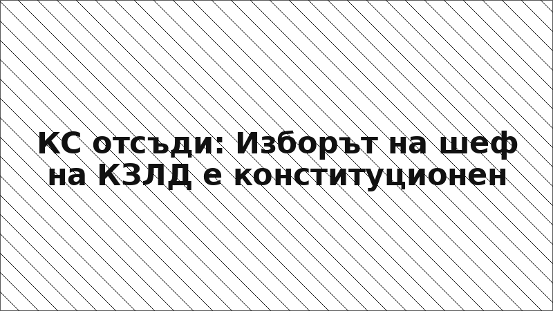 КС отсъди: Изборът на шеф на КЗЛД е конституционен
