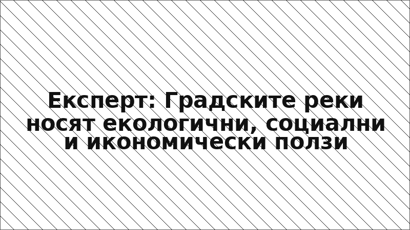 Експерт: Градските реки носят екологични, социални и икономически ползи