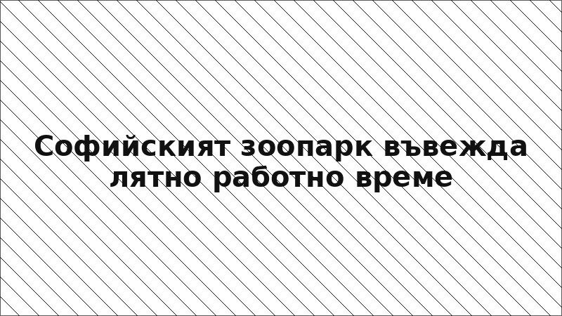 Софийският зоопарк въвежда лятно работно време