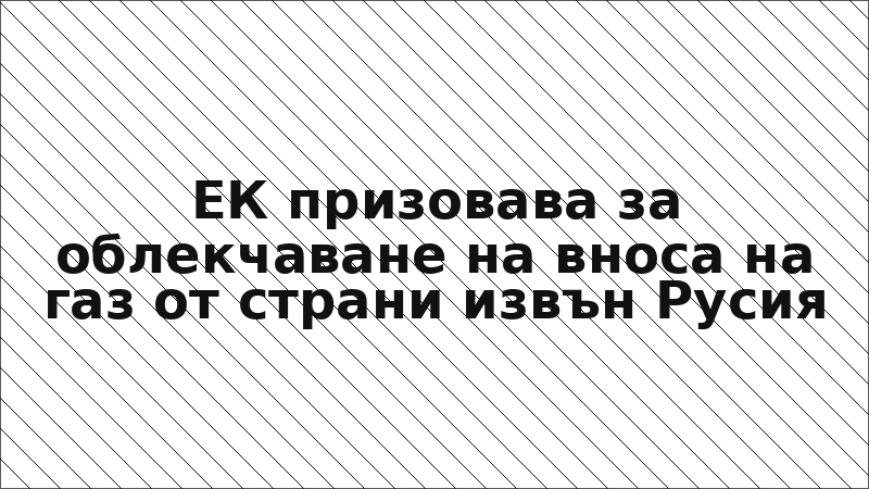 ЕК призовава за облекчаване на вноса на газ от страни извън Русия