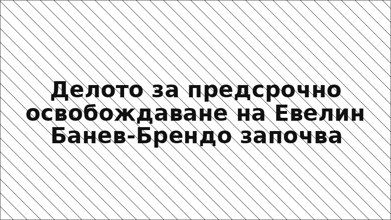 Делото за предсрочно освобождаване на Евелин Банев-Брендо започва