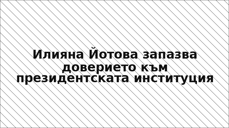 Илияна Йотова запазва доверието към президентската институция
