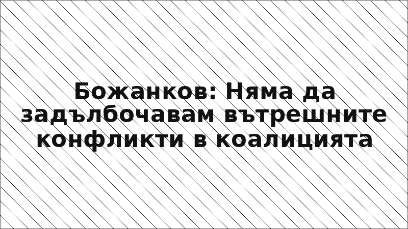 Божанков: Няма да задълбочавам вътрешните конфликти в коалицията