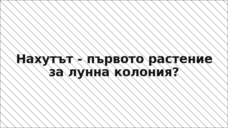 Нахутът - първото растение за лунна колония?