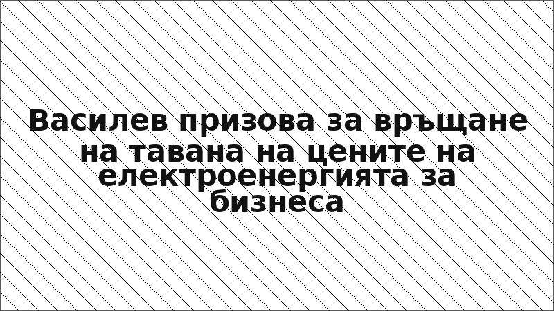 Василев призова за връщане на тавана на цените на електроенергията за бизнеса