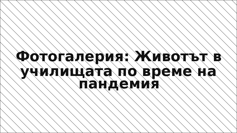 Фотогалерия: Животът в училищата по време на пандемия