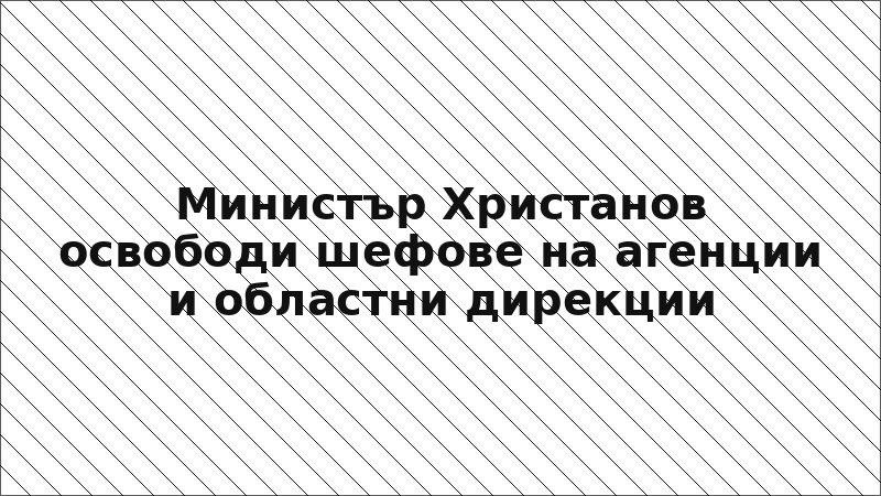 Министър Христанов освободи шефове на агенции и областни дирекции