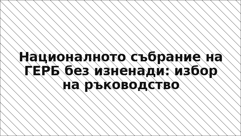 Националното събрание на ГЕРБ без изненади: избор на ръководство