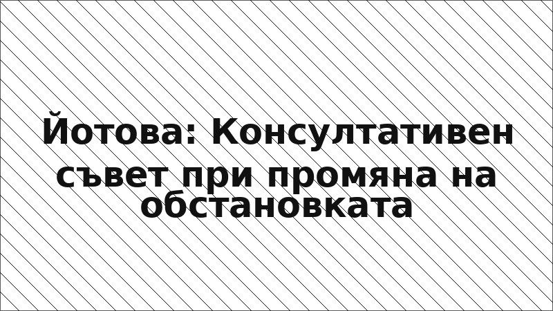 Йотова: Консултативен съвет при промяна на обстановката