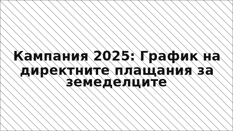 Кампания 2025: График на директните плащания за земеделците