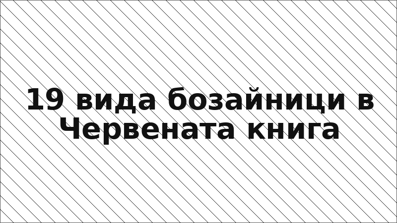 19 вида бозайници в Червената книга