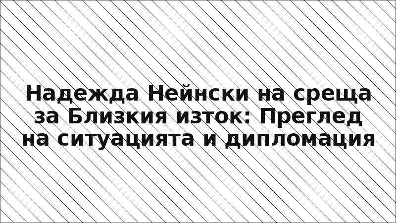 Надежда Нейнски на среща за Близкия изток: Преглед на ситуацията и дипломация