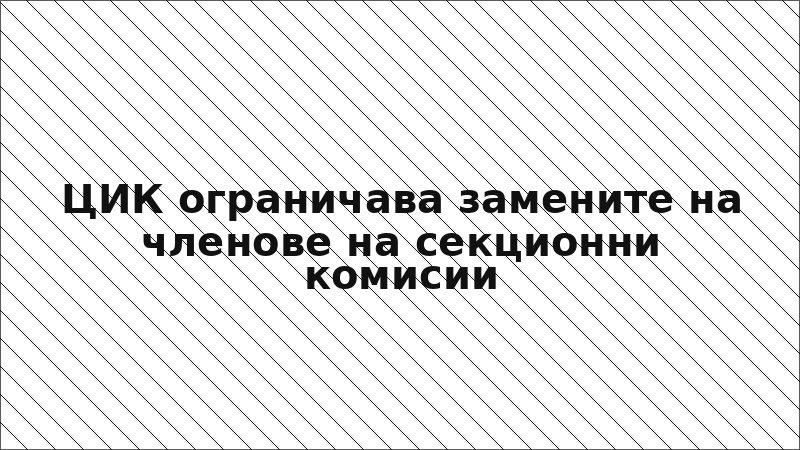 ЦИК ограничава замените на членове на секционни комисии