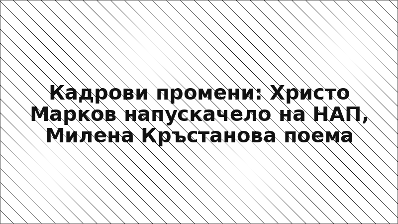 Кадрови промени: Христо Марков напускачело на НАП, Милена Кръстанова поема