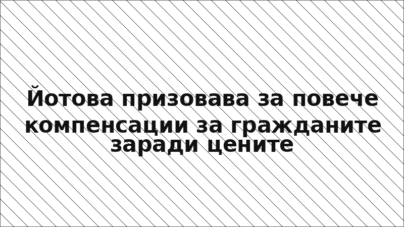 Йотова призовава за повече компенсации за гражданите заради цените