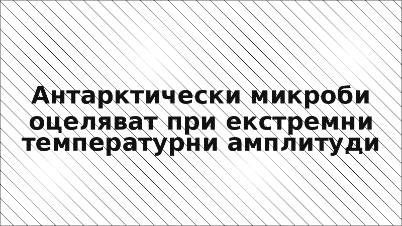 Антарктически микроби оцеляват при екстремни температурни амплитуди