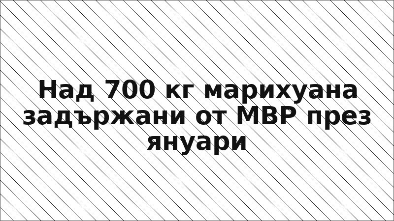 Над 700 кг марихуана задържани от МВР през януари