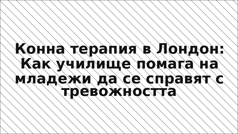 Конна терапия в Лондон: Как училище помага на младежи да се справят с тревожността