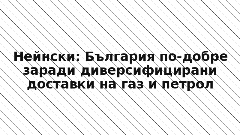 Нейнски: България по-добре заради диверсифицирани доставки на газ и петрол