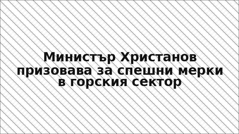 Министър Христанов призовава за спешни мерки в горския сектор