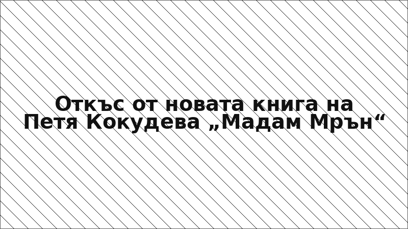 Откъс от новата книга на Петя Кокудева „Мадам Мрън“