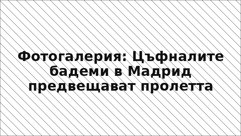 Фотогалерия: Цъфналите бадеми в Мадрид предвещават пролетта