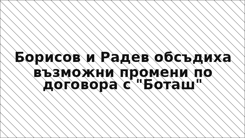 Борисов и Радев обсъдиха възможни промени по договора с "Боташ"