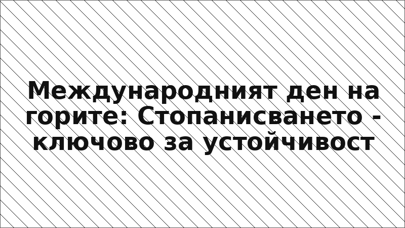 Международният ден на горите: Стопанисването - ключово за устойчивост