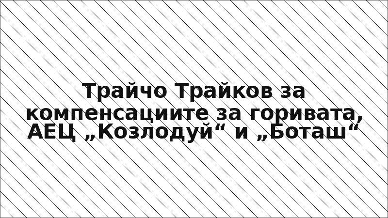 Трайчо Трайков за компенсациите за горивата, АЕЦ „Козлодуй“ и „Боташ“