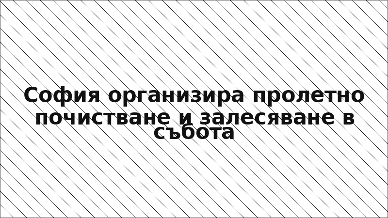 София организира пролетно почистване и залесяване в събота