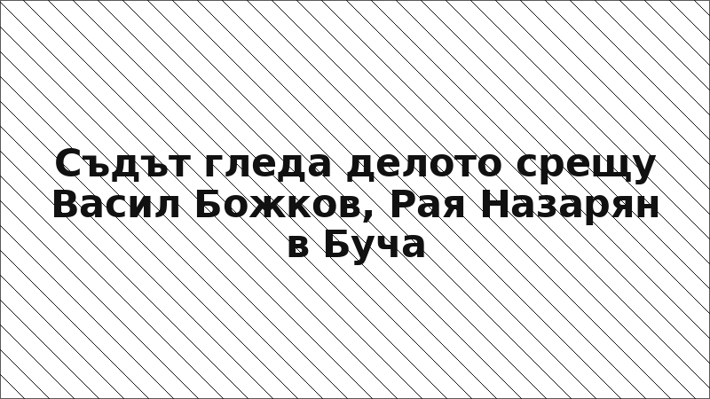 Съдът гледа делото срещу Васил Божков, Рая Назарян в Буча