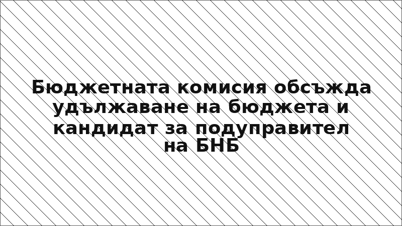 Бюджетната комисия обсъжда удължаване на бюджета и кандидат за подуправител на БНБ