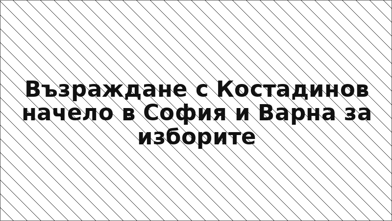 Възраждане с Костадинов начело в София и Варна за изборите