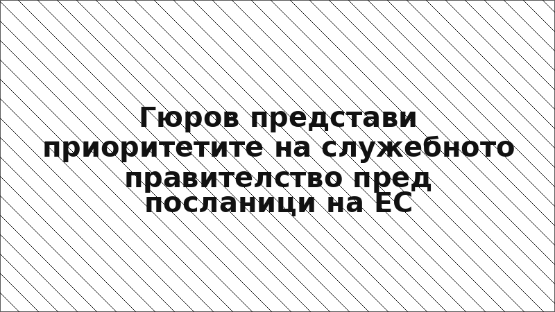 Гюров представи приоритетите на служебното правителство пред посланици на ЕС