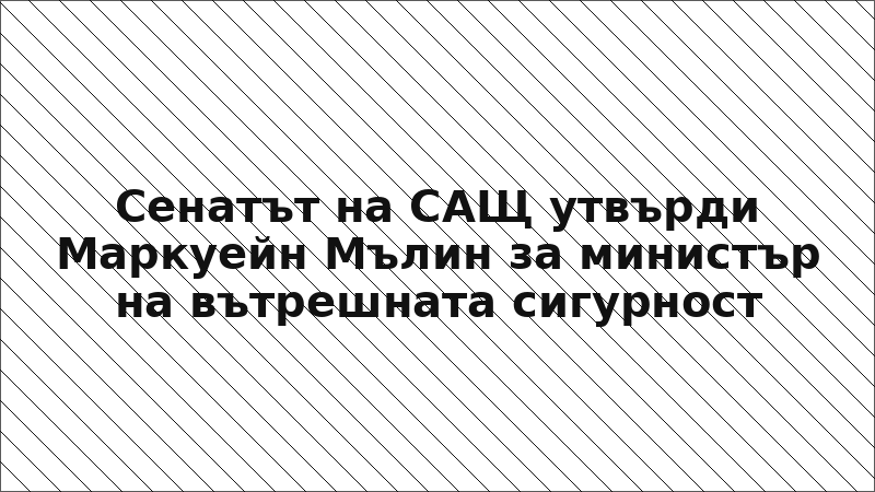 Сенатът на САЩ утвърди Маркуейн Мълин за министър на вътрешната сигурност