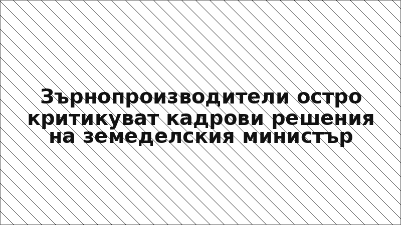 Зърнопроизводители остро критикуват кадрови решения на земеделския министър