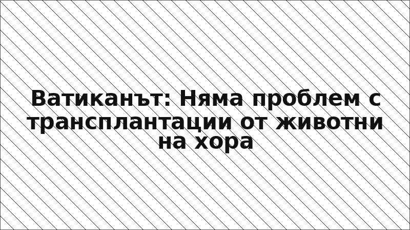 Ватиканът: Няма проблем с трансплантации от животни на хора