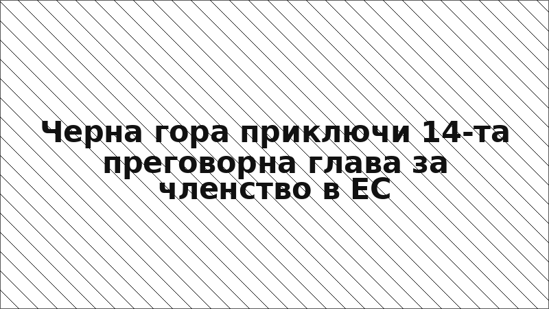 Черна гора приключи 14-та преговорна глава за членство в ЕС