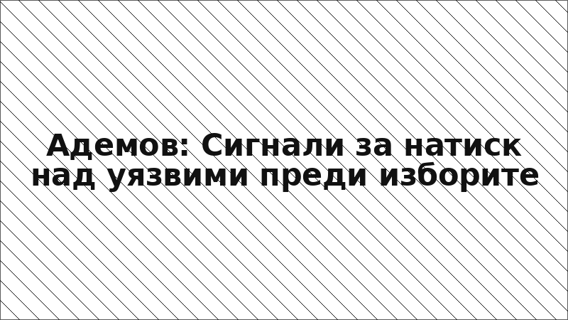 Адемов: Сигнали за натиск над уязвими преди изборите