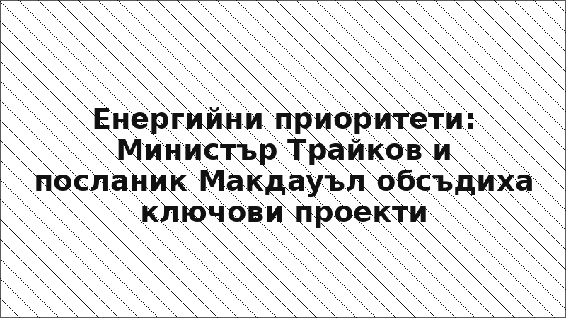 Енергийни приоритети: Министър Трайков и посланик Макдауъл обсъдиха ключови проекти