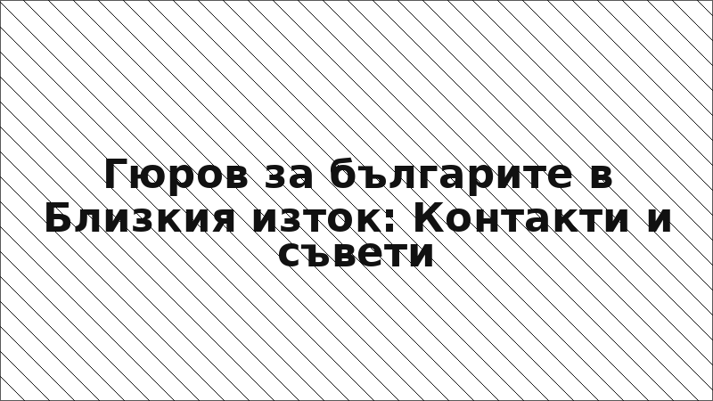 Гюров за българите в Близкия изток: Контакти и съвети