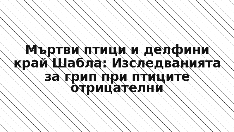 Мъртви птици и делфини край Шабла: Изследванията за грип при птиците отрицателни