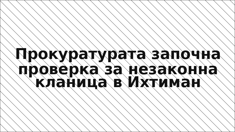 Прокуратурата започна проверка за незаконна кланица в Ихтиман