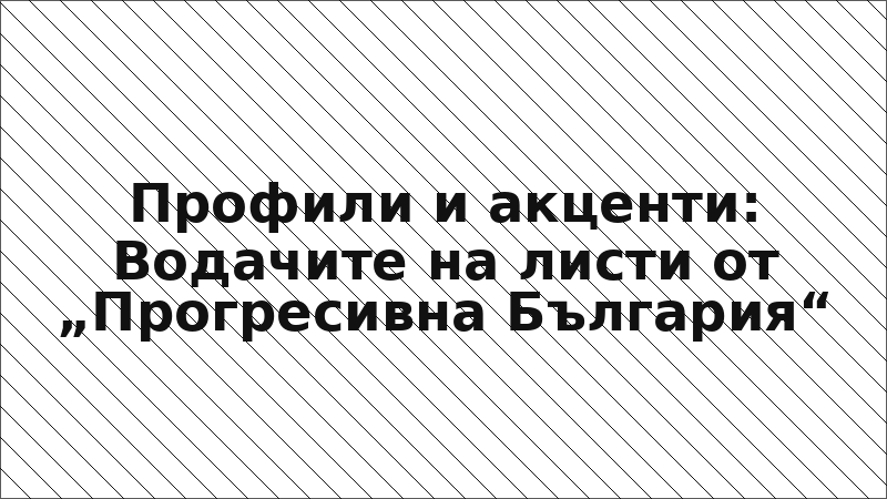 Профили и акценти: Водачите на листи от „Прогресивна България“