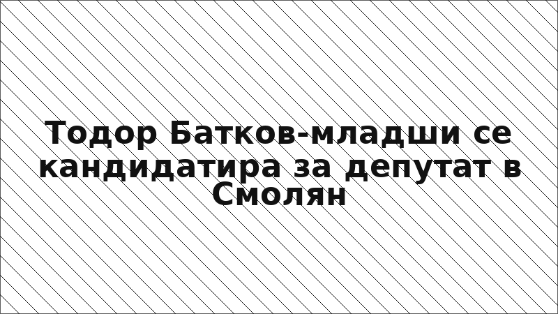 Тодор Батков-младши се кандидатира за депутат в Смолян