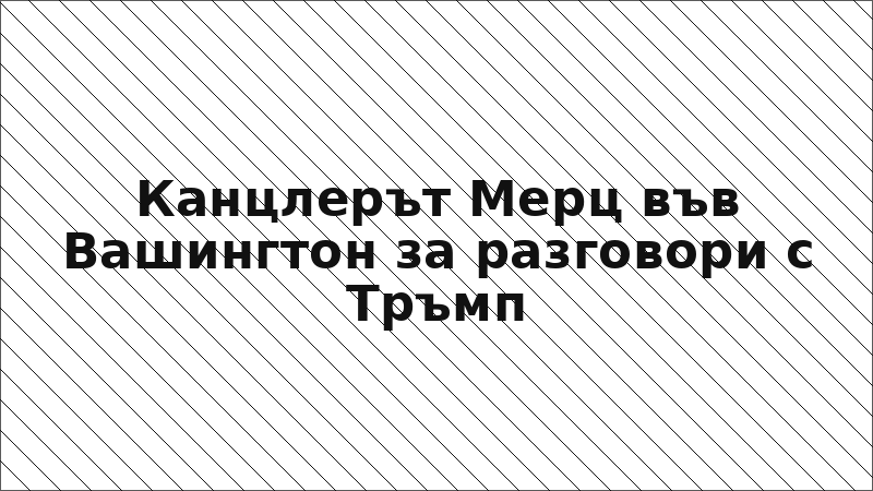 Канцлерът Мерц във Вашингтон за разговори с Тръмп