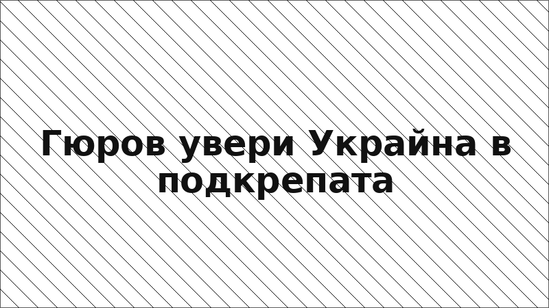 Гюров увери Украйна в подкрепата