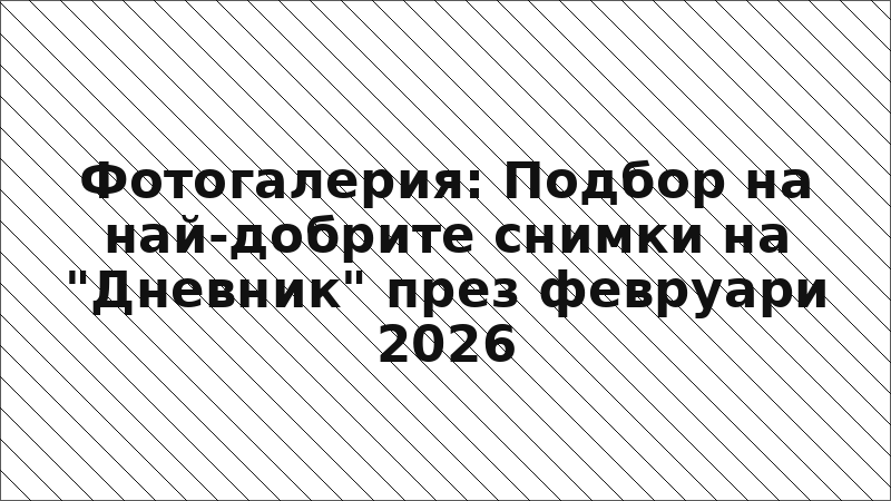 Фотогалерия: Подбор на най-добрите снимки на "Дневник" през февруари 2026