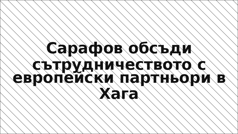 Сарафов обсъди сътрудничеството с европейски партньори в Хага